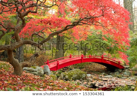 Stock photo: Bridge In Japanese Garden