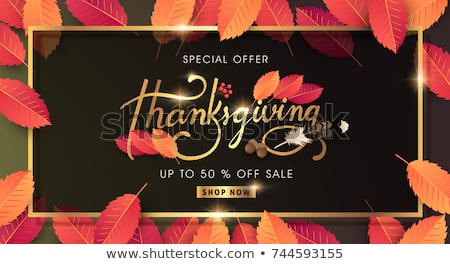 Stock fotó: Special Promotion Discount Thanksgiving Day Poster