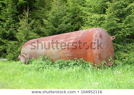 Foto stock: Rusty Cauldron Left In The Woods