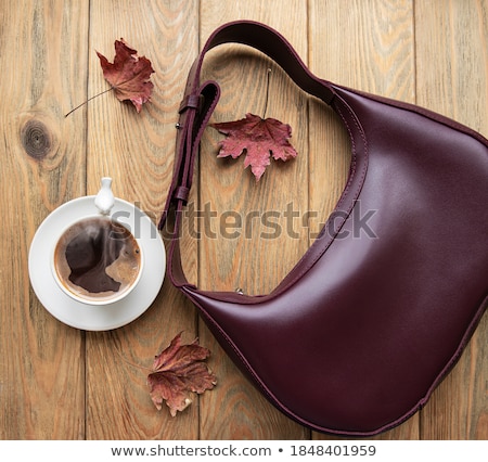 Woman With Purse Foto stock © almaje
