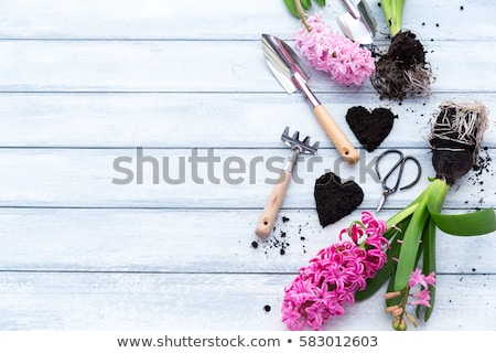 Stock fotó: Hyacinth Flowers Garden Tools And Easter Eggs