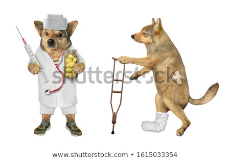 Сток-фото: Yellow Funny Dog Doctor In Uniform Holding Pill