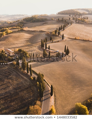 [[stock_photo]]: Tuscany Agriculture