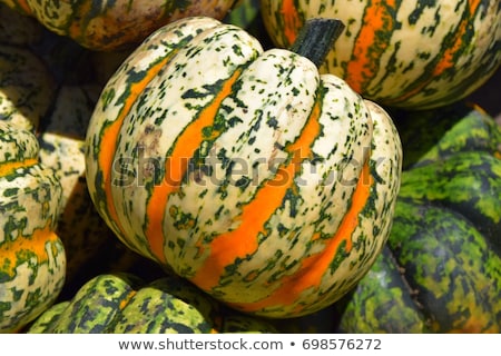 Foto d'archivio: Sweet Lightning Microwave Cucurbita Pumpkin Pumpkins From Autumn