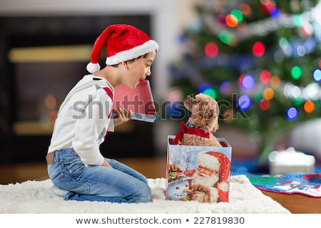 Stock photo: Boy With Puppy At Christmas