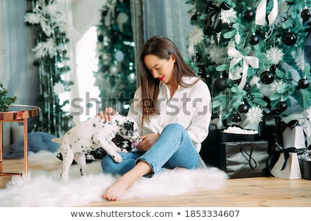 Puppy Playing With Adult Dog Foto stock © Stasia04