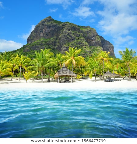 Stockfoto: Beach Holidays Tourism And Travel