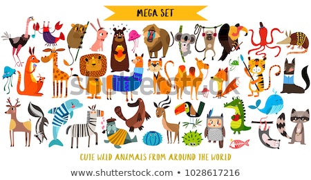 Zdjęcia stock: Set Of Animal Sticker