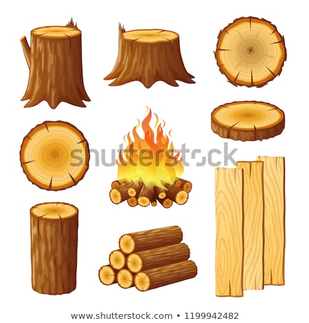 Stok fotoğraf: Campfire Stumps Logs Collection Isolated On White