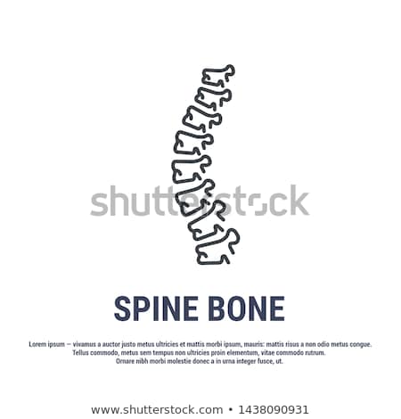 Zdjęcia stock: Human Spine Icon Vector Outline Illustration