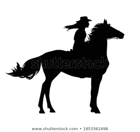 Stok fotoğraf: Silhouette Of Horsewoman