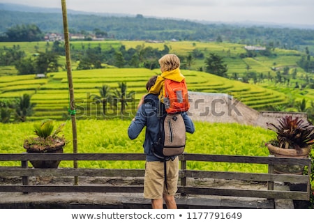 Сток-фото: Dad And Son Travelers On Beautiful Jatiluwih Rice Terraces Against The Background Of Famous Volcanoe