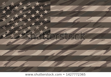 Foto d'archivio: Patriotic Desert Tan Camo Usa Flag Vector Illustration