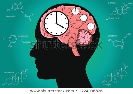 Stock photo: Biological Clock