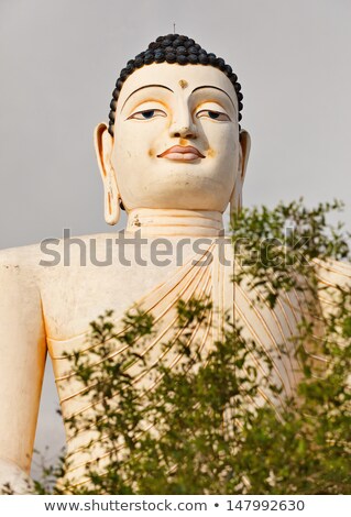 Large Statue Of Buddha In Bentota Sri Lanka Stockfoto © pzAxe