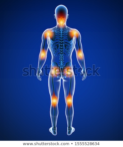 3d Render Medical Illustration Of The Neck Bone Stockfoto © cla78