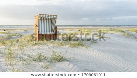 Foto d'archivio: Calm Sunny Beach With Dunes And Grass Baltic Sea