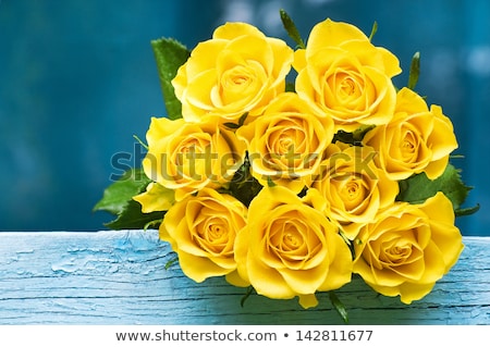 Stock photo: Yellow Rose On Green Stem