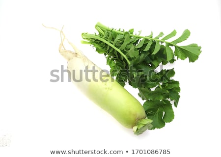 Stockfoto: Fresh Radishes