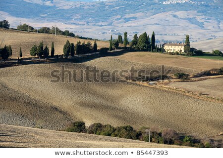 Stok fotoğraf: The Hills Around Pienza And Monticchiello Tuscany