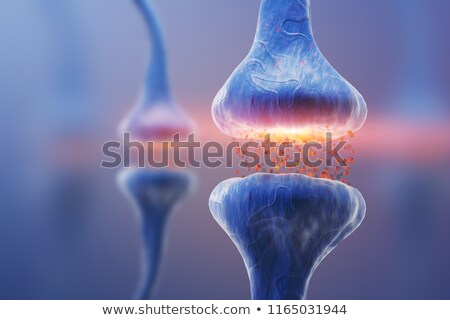 Stockfoto: Synapse