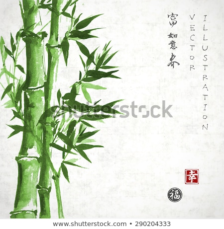 Foto stock: Bamboo Dreams Painting