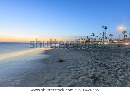 Zdjęcia stock: Newport Beach In California With Palm Trees
