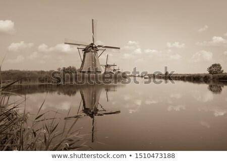 Foto stock: Sepia Toned Reeds By A Lake In Autumn