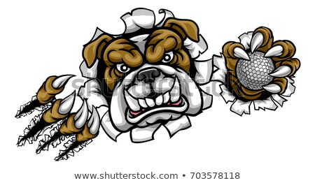 Stockfoto: Bulldog Golf Sports Mascot