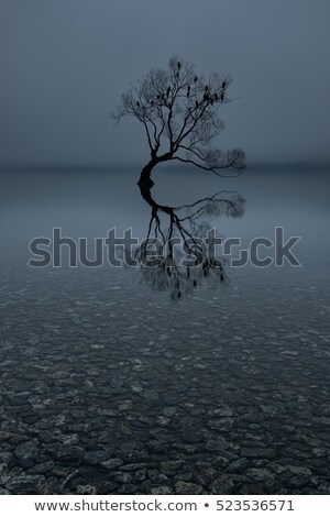 Foto stock: Incredible Reflection