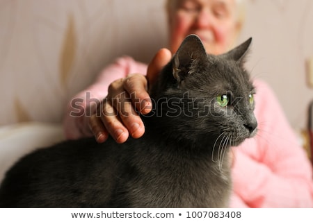 Сток-фото: Old Woman And Cats