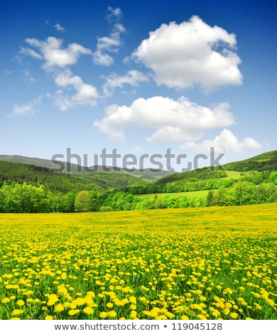 ストックフォト: Spring Landscape In Sumava