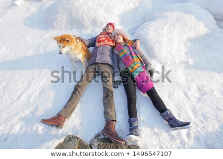 Stock foto: Freezing Icy Couple Of Dogs In Snow