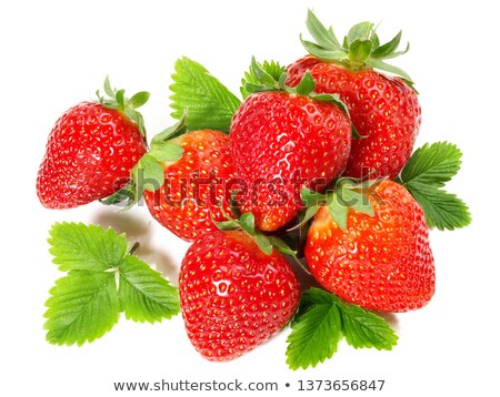 Stock fotó: Branch Of Fresh Strawberries