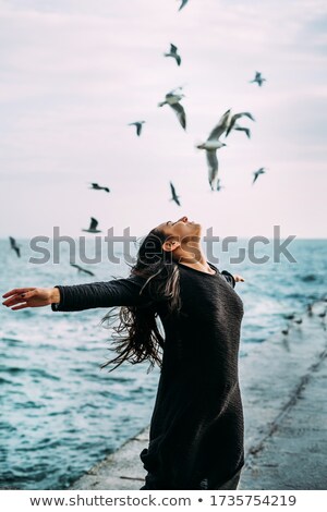 Сток-фото: The Girl And The Seagulls