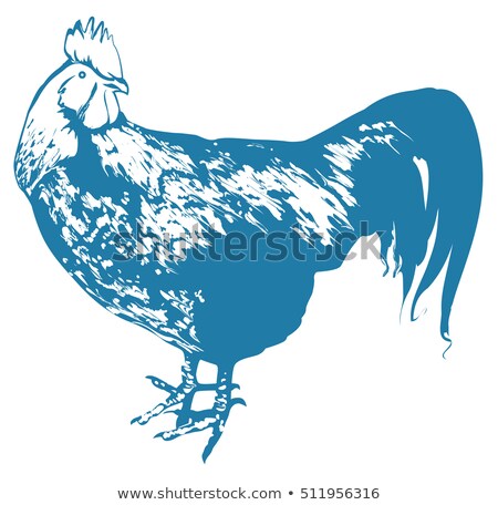 Zdjęcia stock: Blue Rooster Symbol 2017 By Chinese Calendar Realistic Cock Silhouette