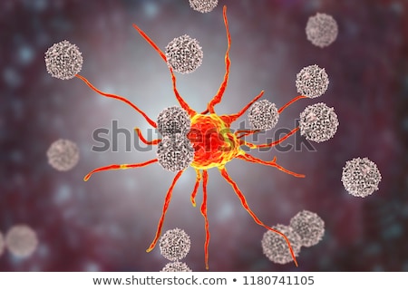 Stock fotó: Lymphocyte Cell Concept