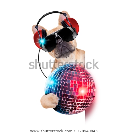 Stock photo: Dj Disco Dog