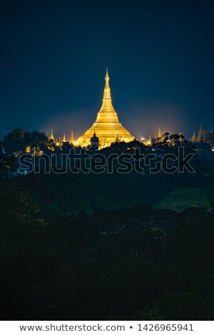 Stock photo: Pagodas At Night