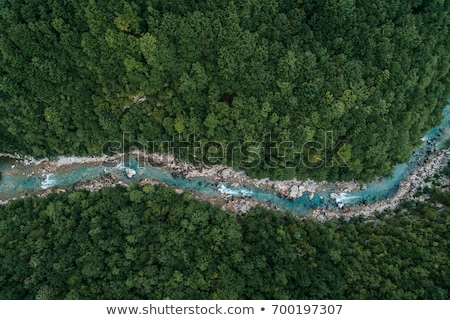 Stock fotó: River In The Forest