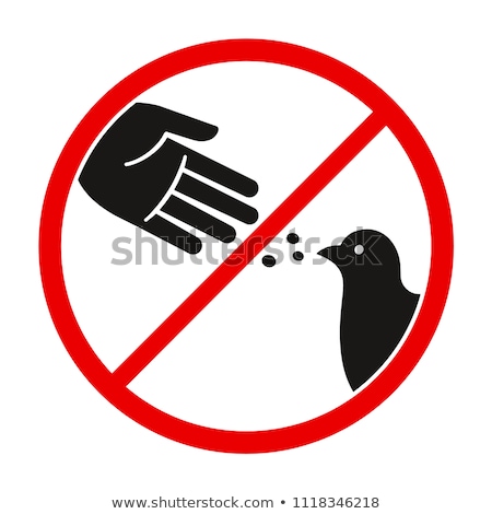 [[stock_photo]]: Pigeon Feeding