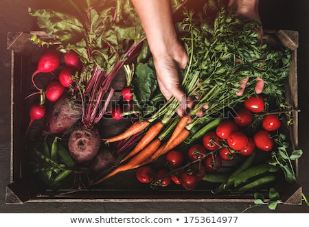 ストックフォト: Assorted Green Toned Raw Organic Vegetables In Wooden Box On Dark Background Avocado Cabbage Caul