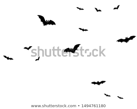 Stok fotoğraf: Illustration Of Bat