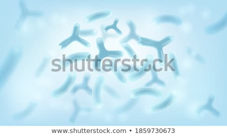 Stockfoto: Vector Background With Probiotics Bifidobacterium Lactobacillus Streptococcus Thermophilus Lacto