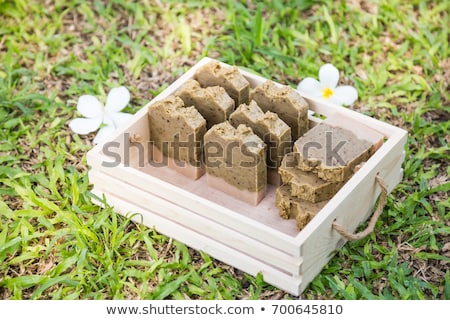 [[stock_photo]]: Handmade Soap On Green Grass