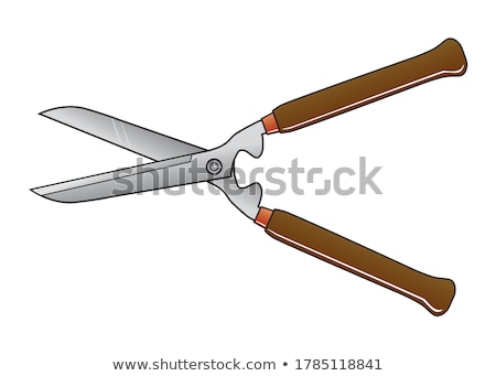 Foto stock: Gardening Shears