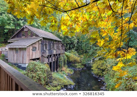 [[stock_photo]]: Fall Maple Leaves At Cedar Creek Grist Mill