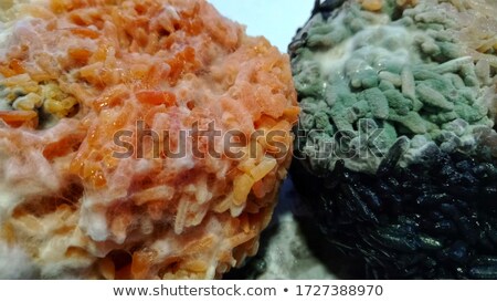 [[stock_photo]]: Colonial Goods - Rice