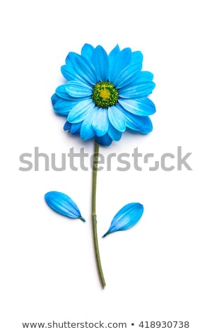 Stockfoto: Congratulations To The Holiday With Frame And Blue Flowers