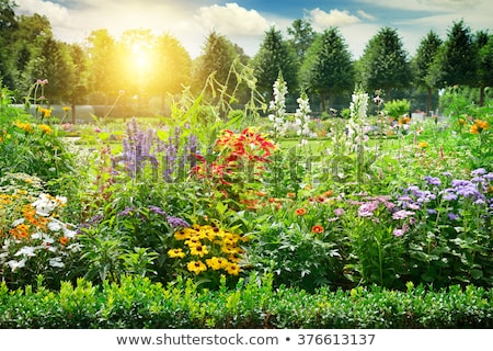 Foto stock: Formal Spring Garden